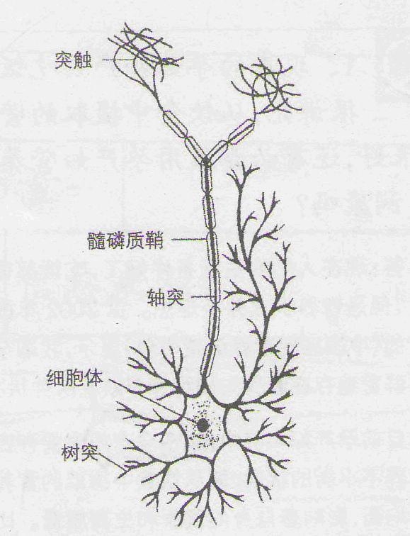 c28fddfd9577dc52d6887da8.JPG